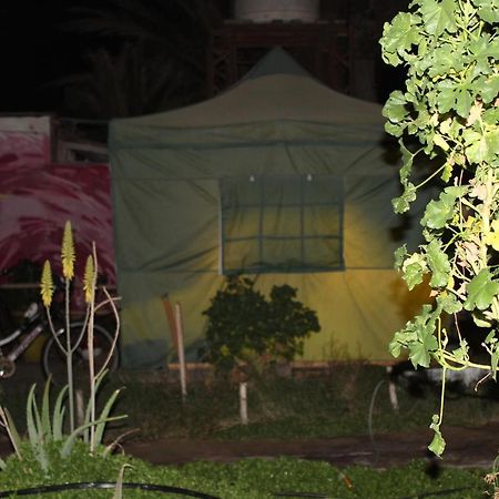 Hostel La Posada Gallo Arica Exterior photo