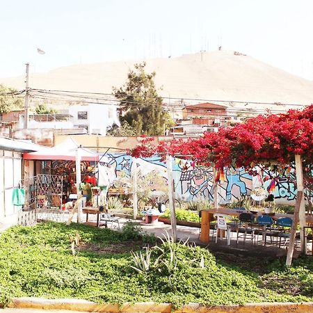 Hostel La Posada Gallo Arica Exterior photo