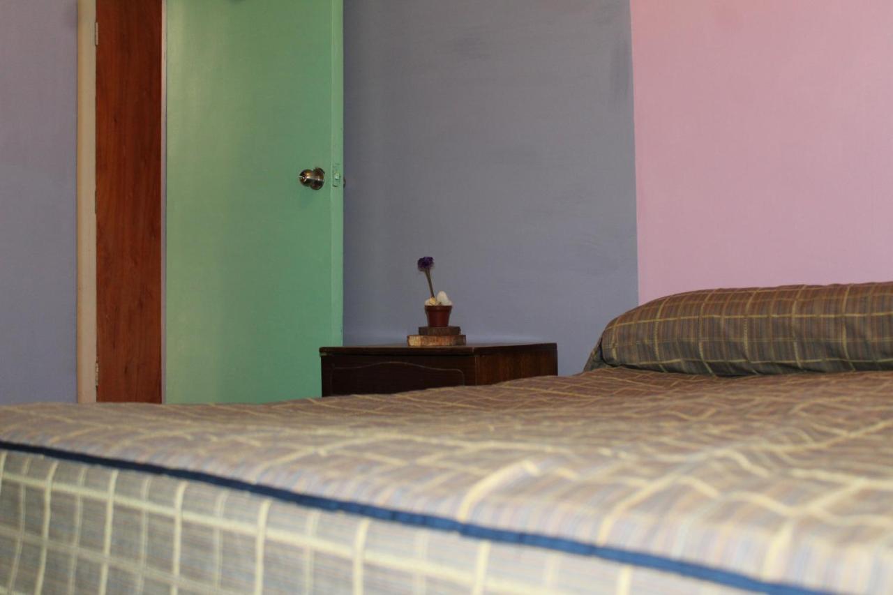 Hostel La Posada Gallo Arica Exterior photo