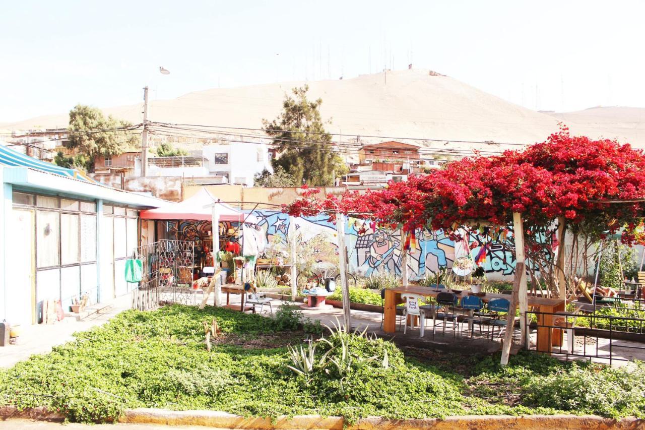 Hostel La Posada Gallo Arica Exterior photo